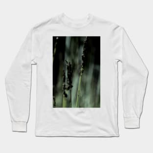 Wild Flower 04 Long Sleeve T-Shirt